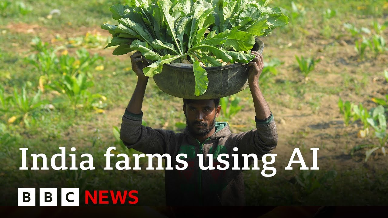 Artificial Intelligence Revolutionizing Indian Farming | BBC News