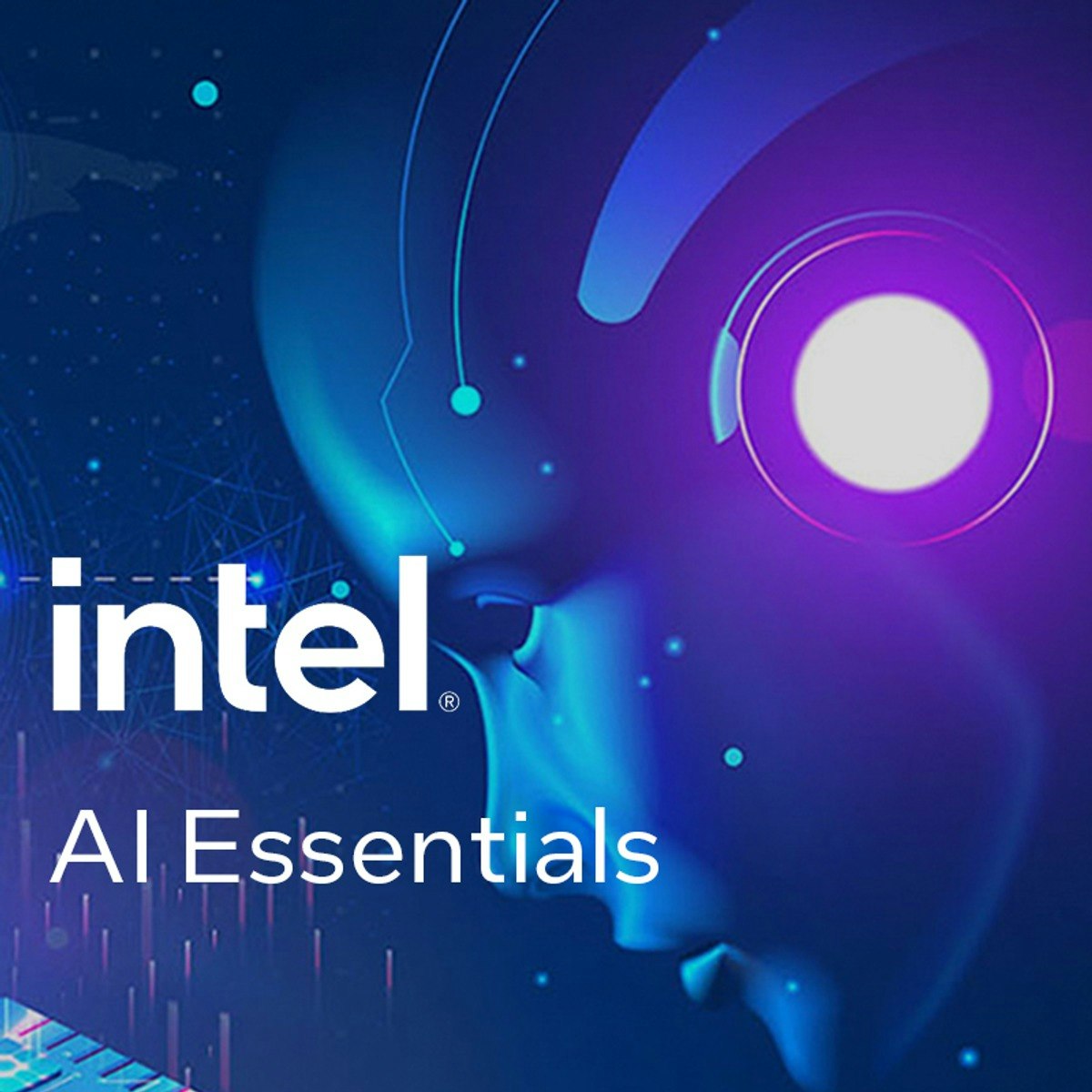 AI Essentials for Newbies